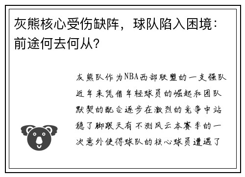 灰熊核心受伤缺阵，球队陷入困境：前途何去何从？